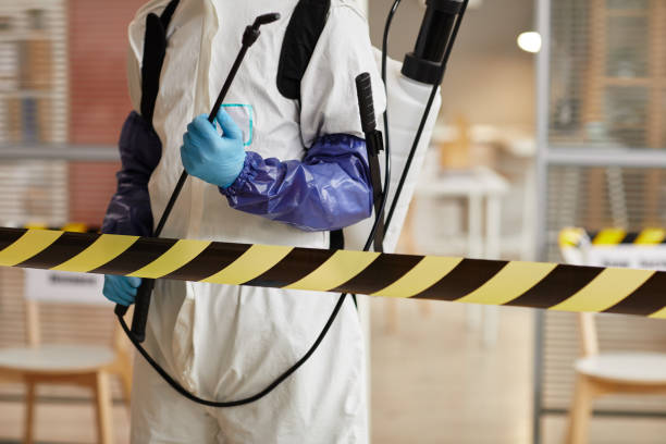 Professional Sewage Cleanup technician working in Central City, PA